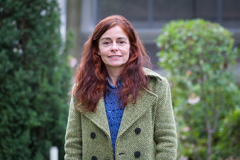 Profesora Cristina Izaskun Martín Gómez