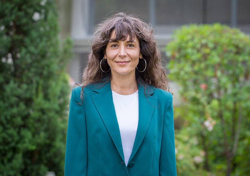 Cristina Fernández Aragón Cristina Fernández Aragón