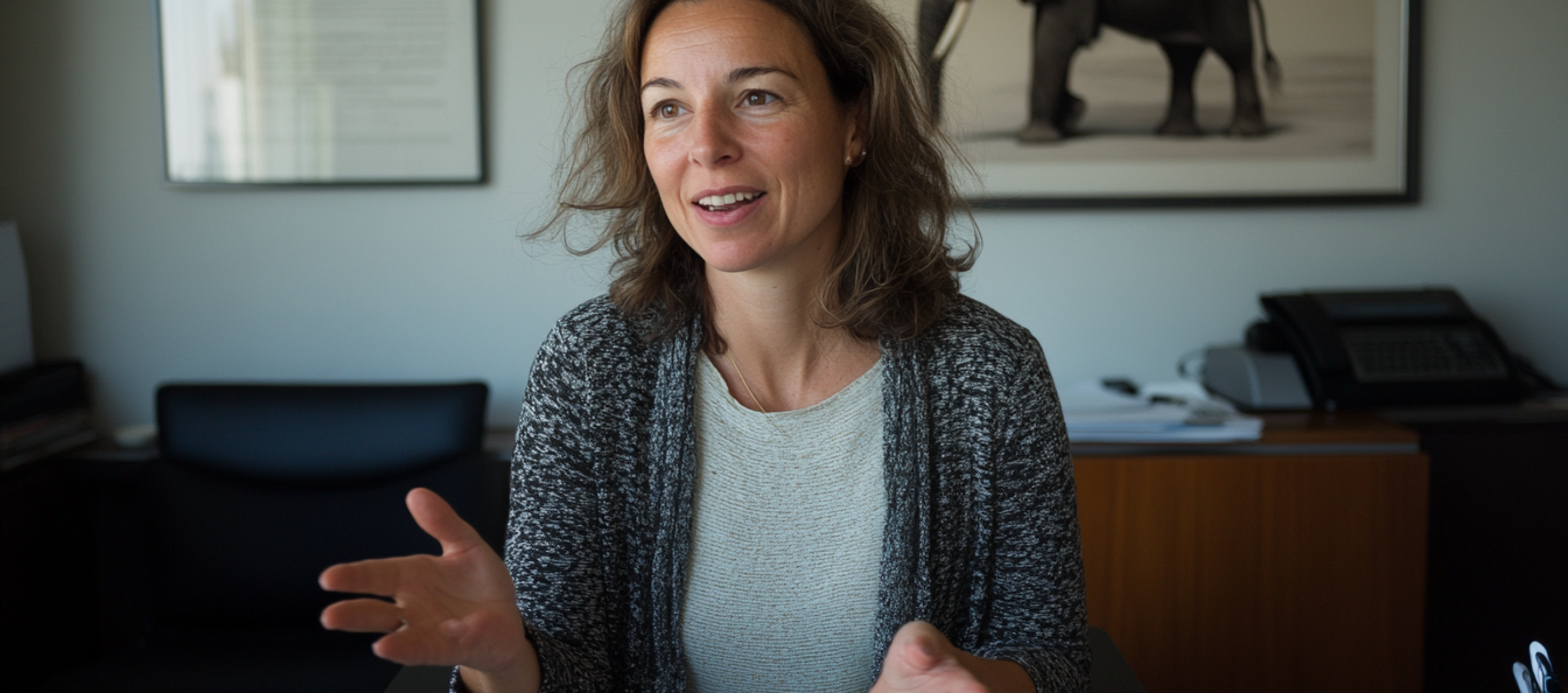 Hero - Grado en Empresas y Actividades Turísticas Hero - Grado en Empresas y Actividades Turísticas