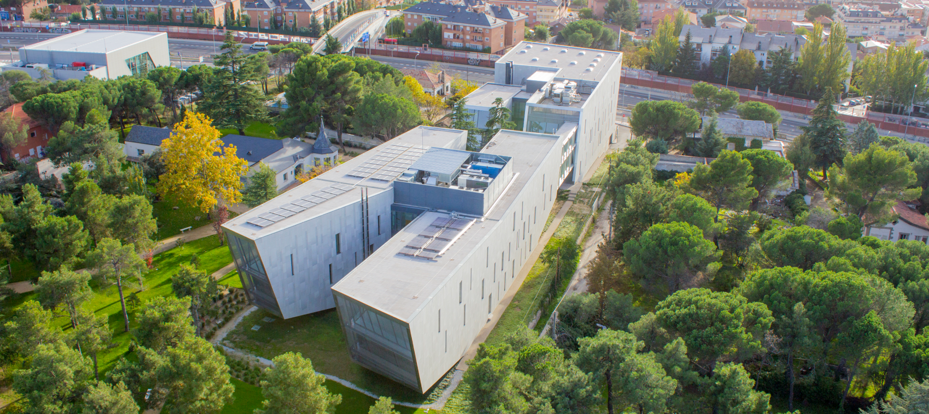 Universidad Udima Universidad Udima