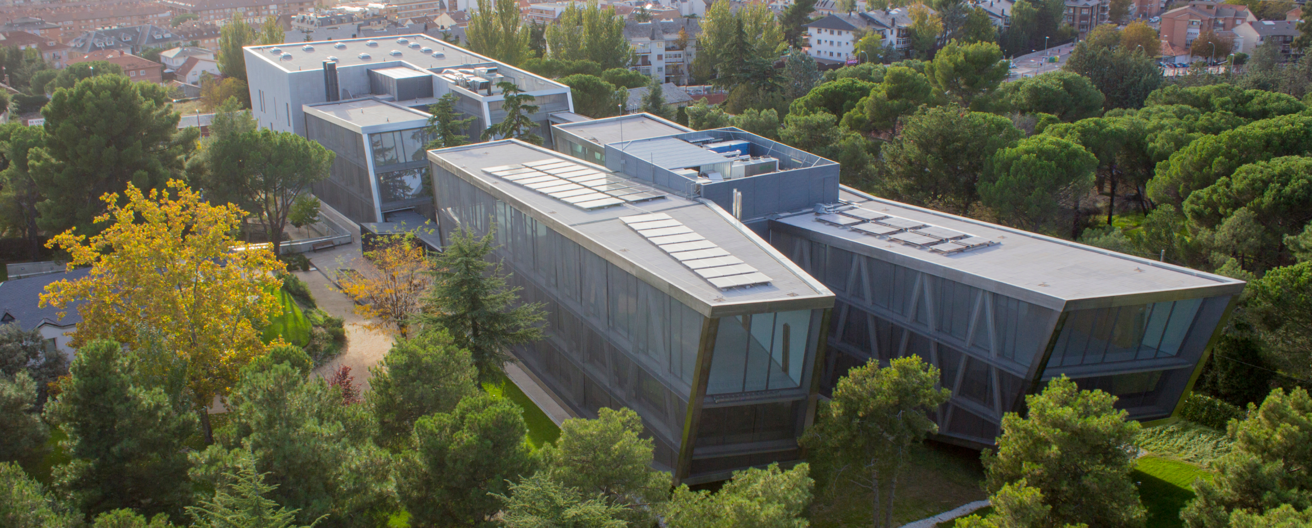 Requisitos de acceso udima Requisitos de acceso udima